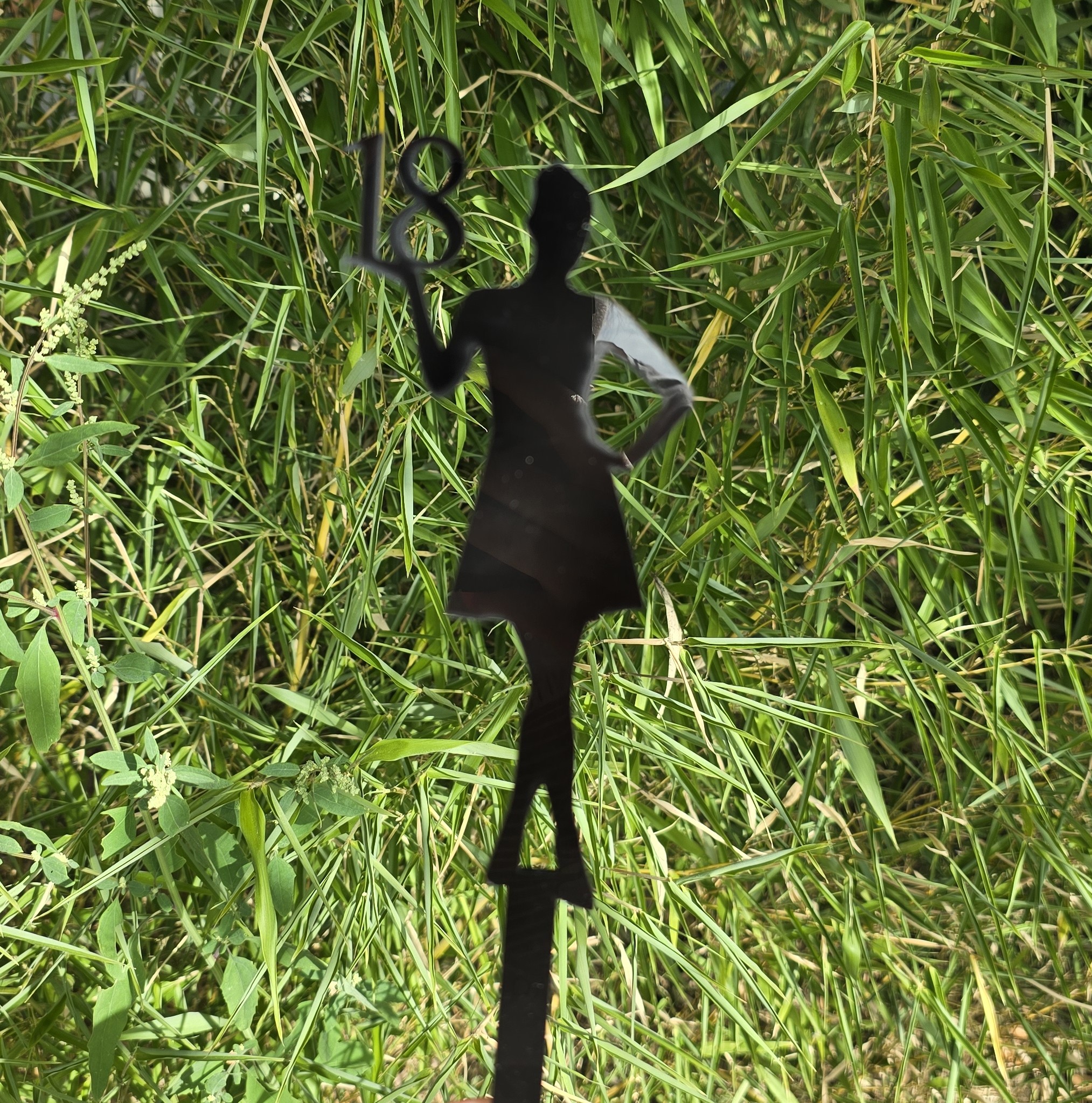 Topper 18 Urodziny VII - obrazek 3